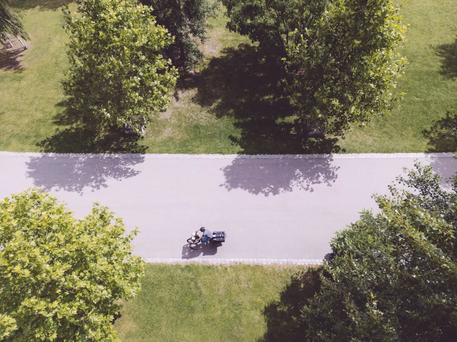 Bäume und Straße von Hausmannsarbeiten Mathias Biermann